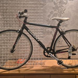 자이언트 Tradist자전거