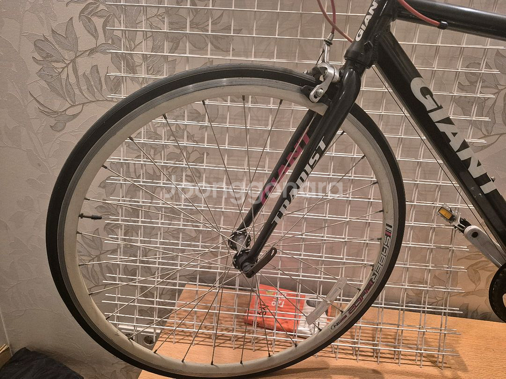 자이언트 Tradist자전거--2