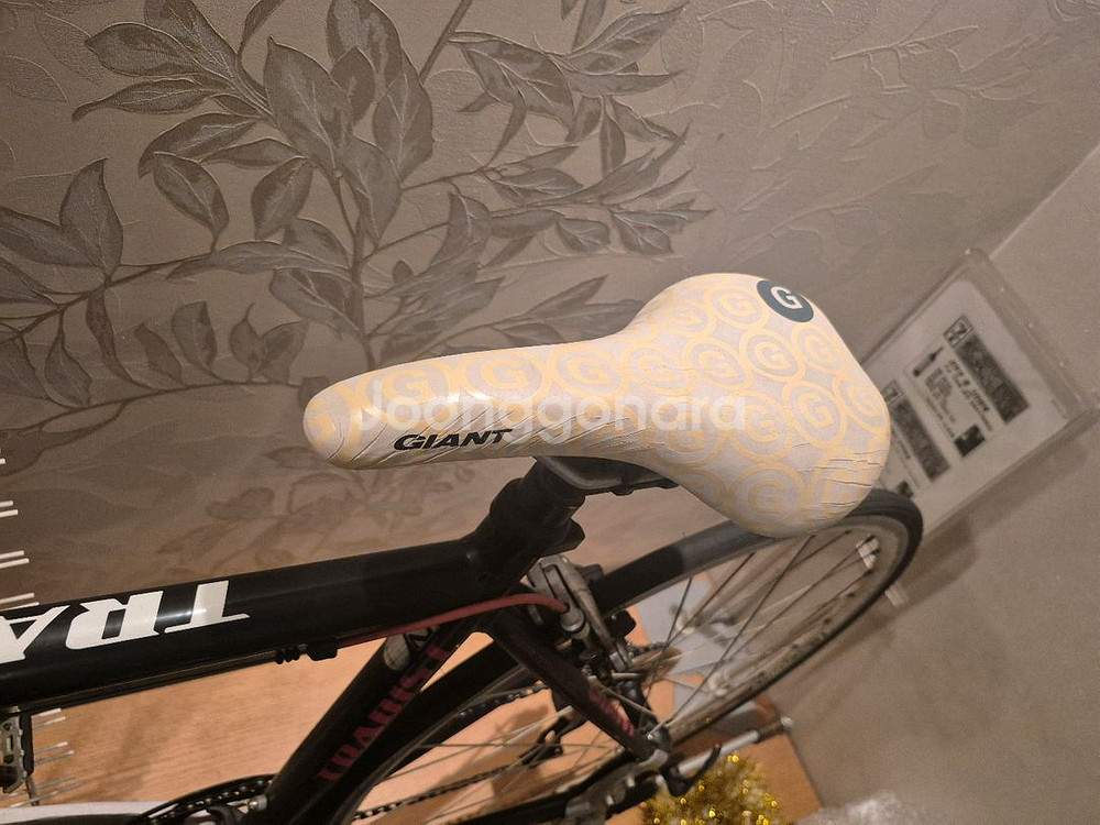 자이언트 Tradist자전거--4