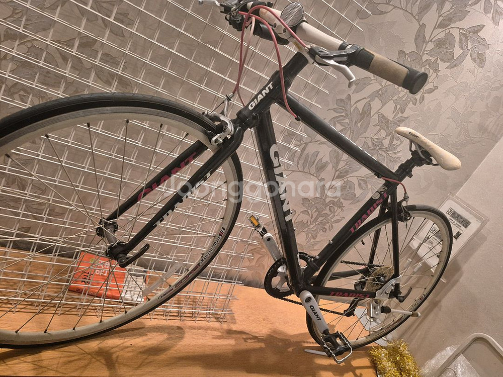 자이언트 Tradist자전거--9