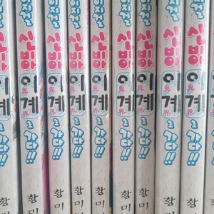 한유랑 황미리 순정만화책