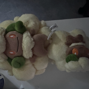 포켓몬인형 엘풍 세트