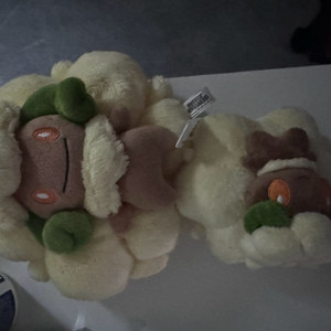 포켓몬인형 엘풍 세트