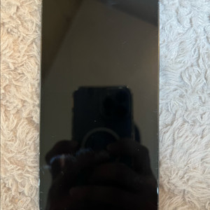 아이폰13 프로맥스 256g