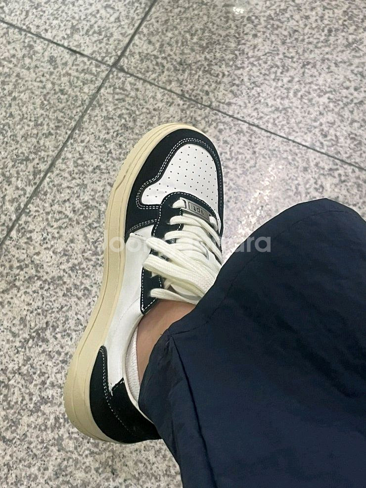 오트리 범고래 265 새제품--3