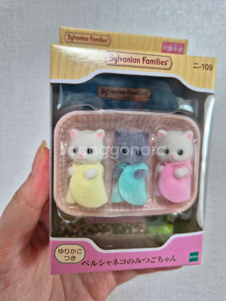 실바니안 페르시안 세쌍둥이--0