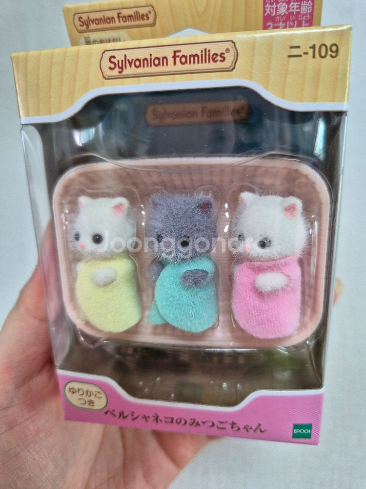 실바니안 페르시안 세쌍둥이--1