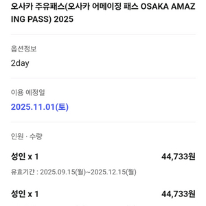 오사카 주유패스 2일권 2인 (~25.12.27)