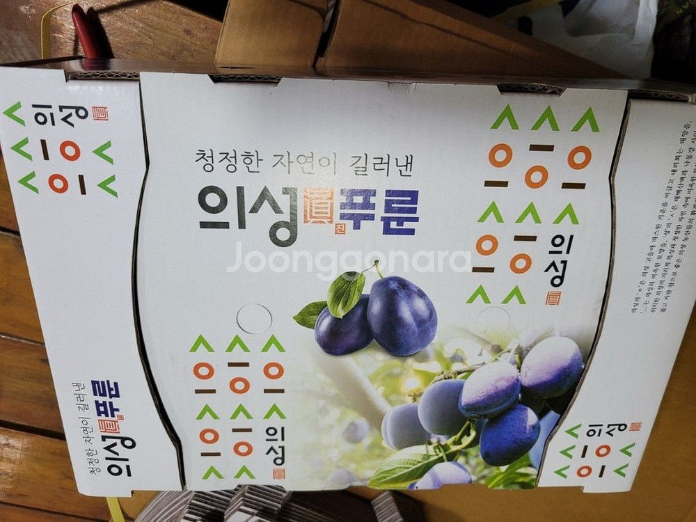 푸룬자두--1