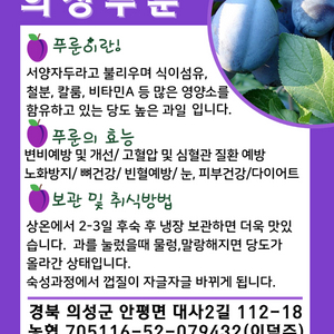 푸른자두