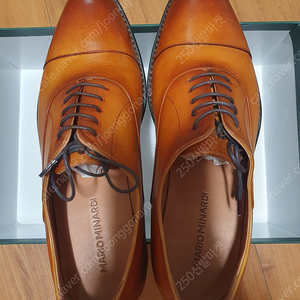 [팜] 마리오 미나르디 포르자 탄 옥스포드