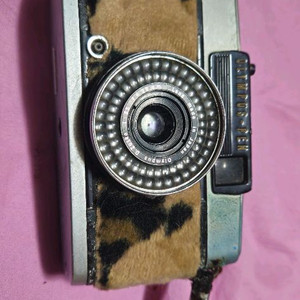 빈티지 카메라 커스텀 카메라