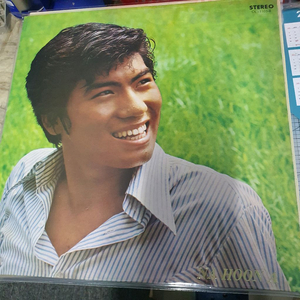,lp.나훈아