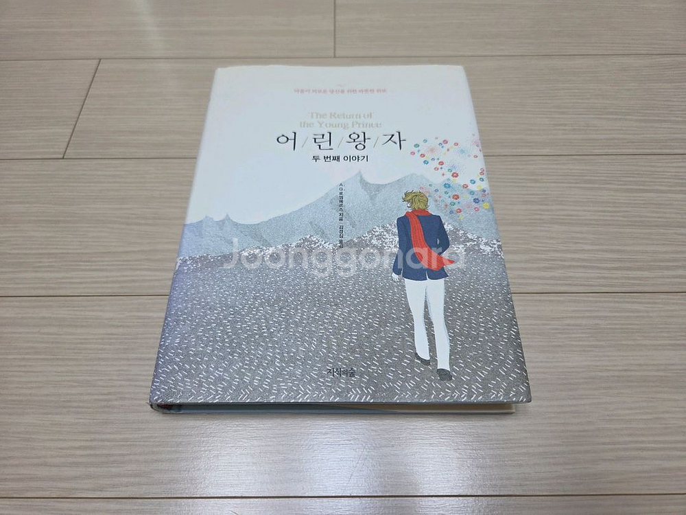 마음에 위로와 깨달음을 주는 어린왕자 두번째 이야기 팜--0