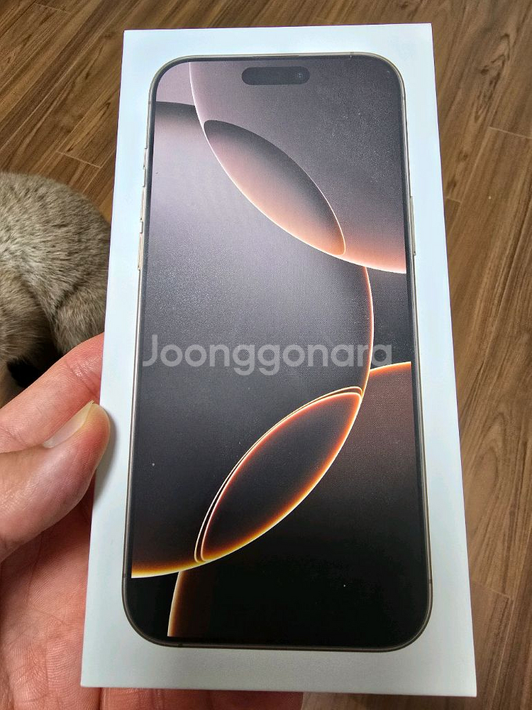 아이폰 16프로맥스 256GB--7