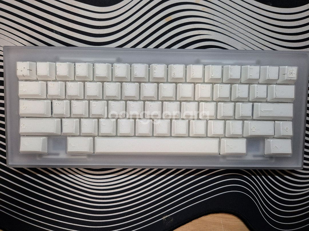 Protagonist(프로타고니스트) X-ray 에디션--0