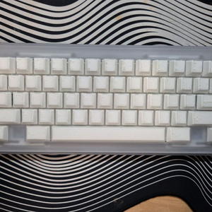 Protagonist(프로타고니스트) X-ray 에디션