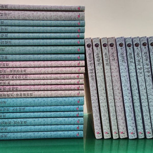 대교소빅스- 우리문학의 숲(특AA급-진열수준)