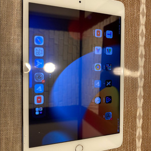 i pad mini4 16g 아이패드 미니4 셀룰러