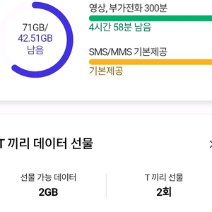 SK ( SKT ) 데이터 ( 데이타 )2기가 팝니다