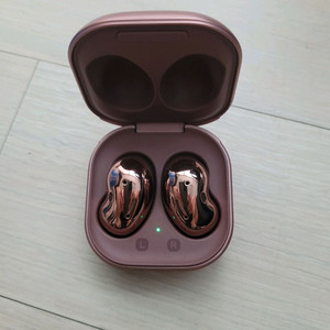 삼성블루트스이어폰(EARBUDS)