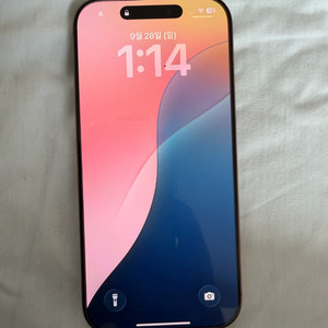아이폰16 프로 데저트 티타늄 256g