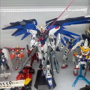 mg 프리덤 2.0 조립품