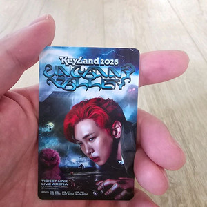 키랜드 콘서트 티켓