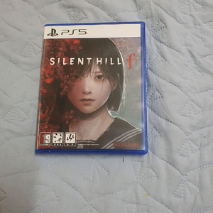 플스 사일런트 힐 F 팔아요(코드 미사용)