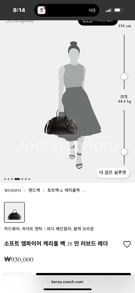 코치 25fw신상 엠파이어 캐리올백--1