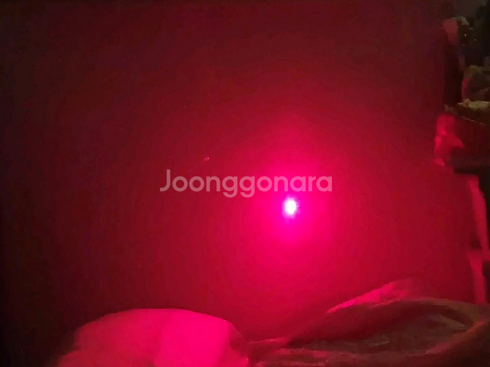서바이벌 디발 D2 팔아요~~--4