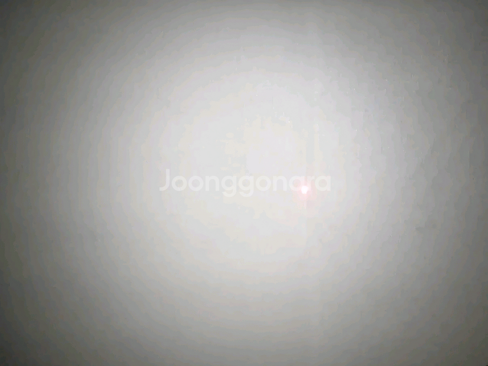 서바이벌 디발 D2 팔아요~~--3