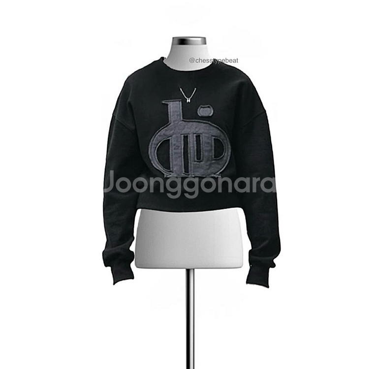 [HEIM 헤임] 빅 로고 크롭 스웨트셔츠 맨투맨--4