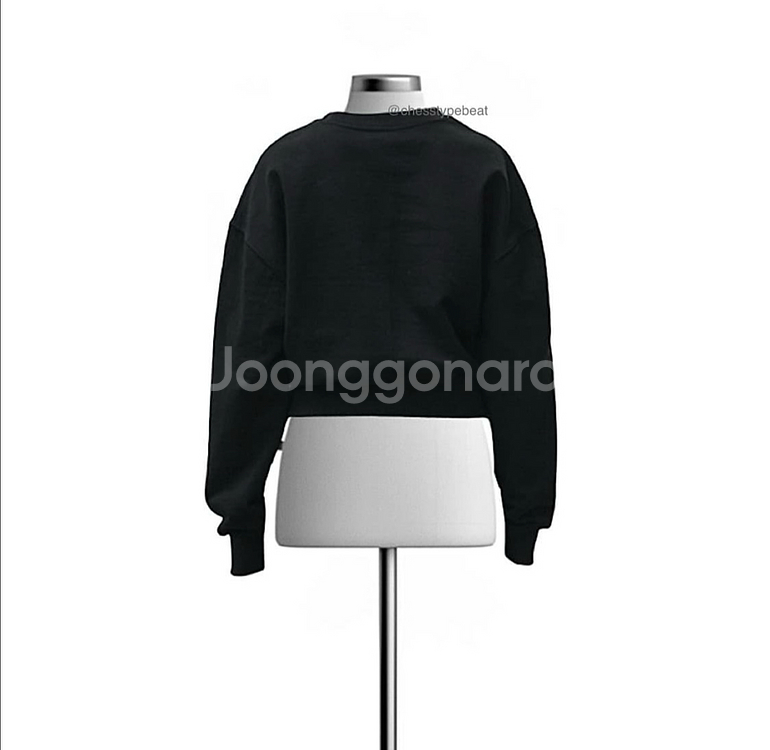 [HEIM 헤임] 빅 로고 크롭 스웨트셔츠 맨투맨--5