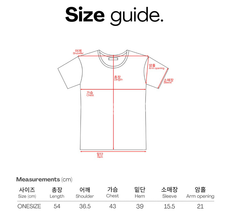 [네비] 케니 베이직 크롭 반팔셔츠--9