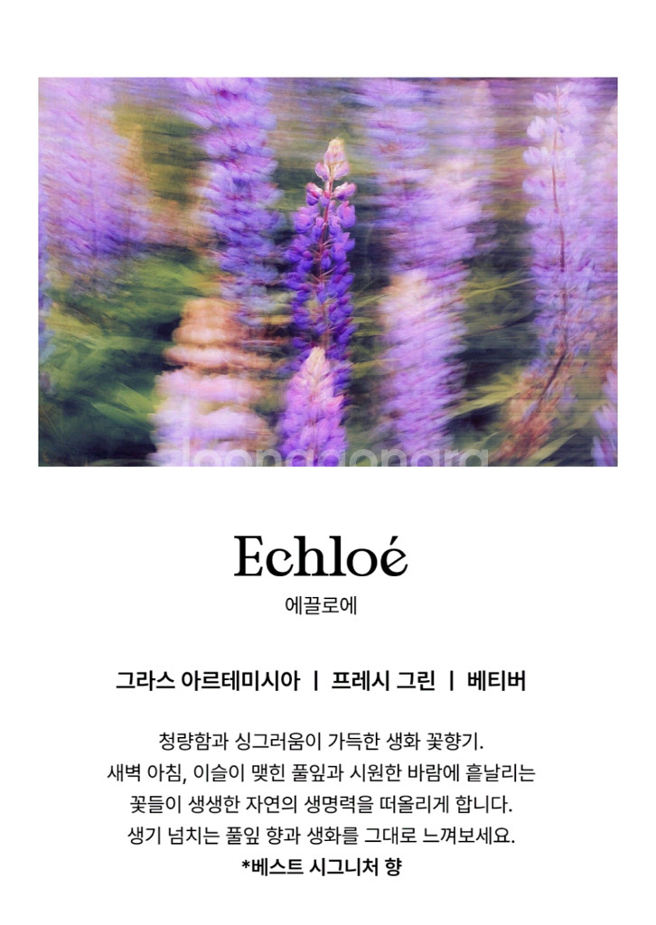 비비앙 핸드크림 룸스프레이 섬유향수 선물세트--2