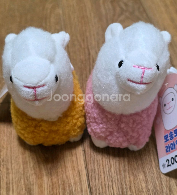 다이소 라마 알파카 인형 키링--1