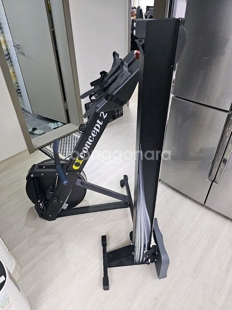 Concept2 로잉머신 Model D--0