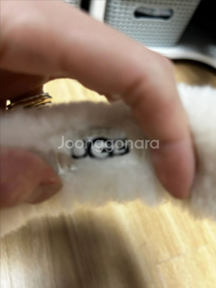 어그 타스만 이어머프--4