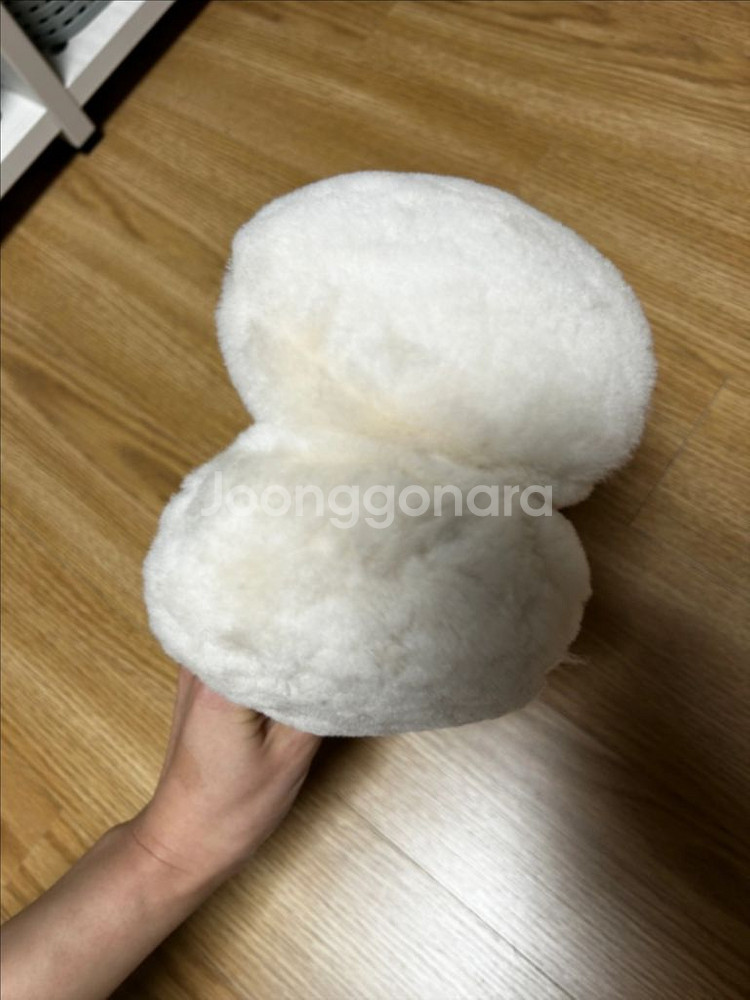 어그 타스만 이어머프--6
