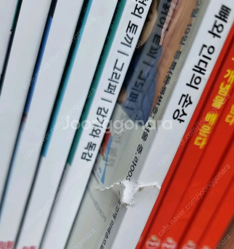 위즈키즈잡지 38권 뉴턴잡지 5권--2