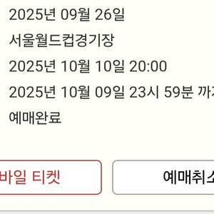 대한민국 Vs 브라질 축구 티켓