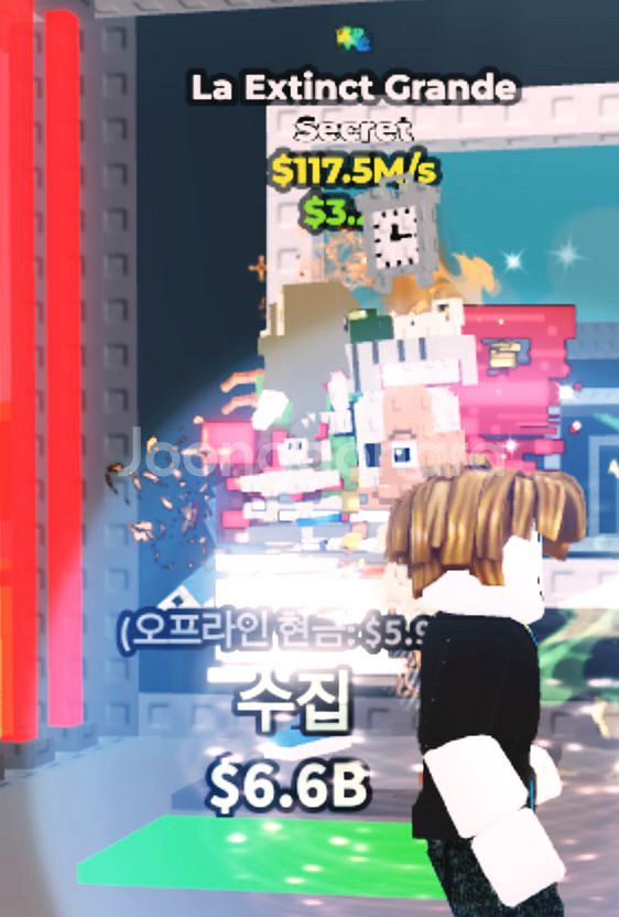 브레인롯 판매--7