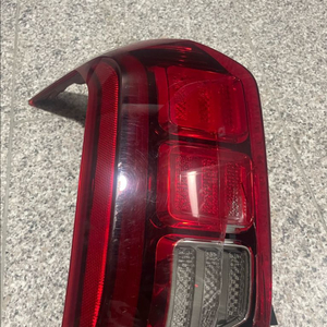 펠리세이드 운전석 뒷측 램프 어셈블리