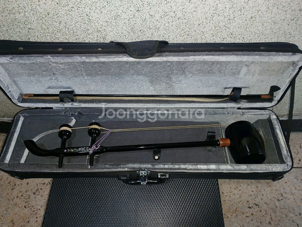 해금--0