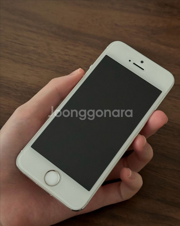 아이폰 5s--1