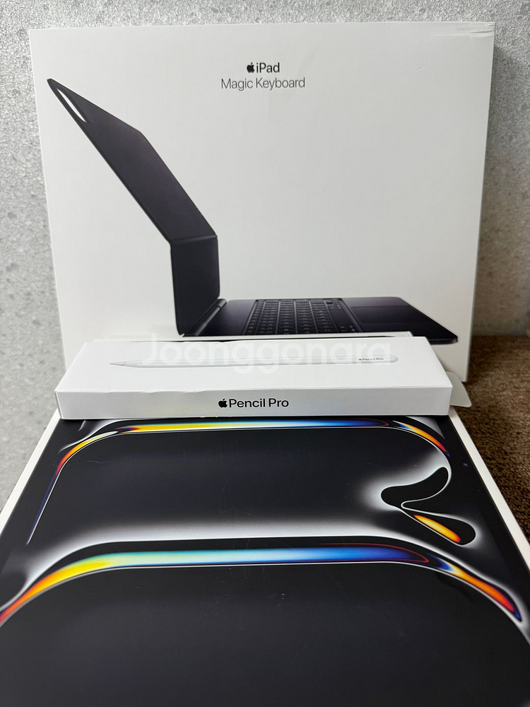 아이패드 프로 M4 13인치 1TB 나노텍스쳐 풀박스--0
