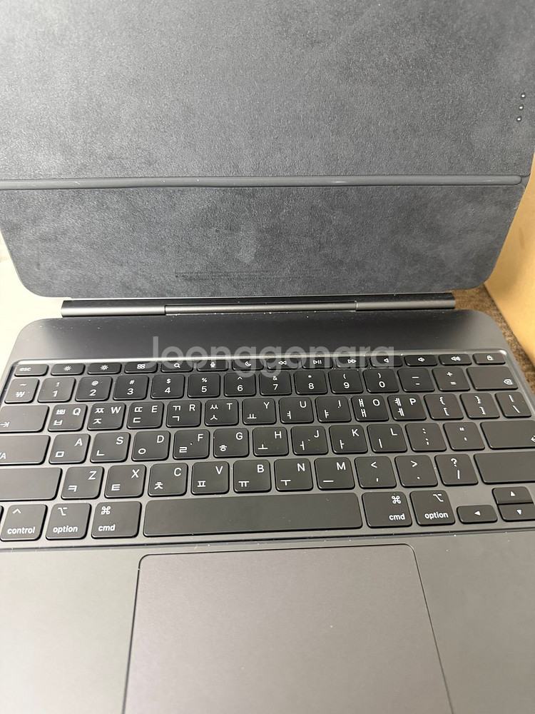 아이패드 프로 M4 13인치 1TB 나노텍스쳐 풀박스--3