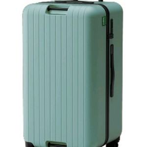 패리티 캐리어 맥시(28인치)