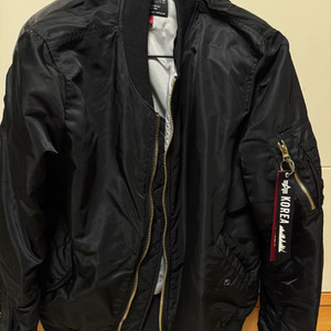 알파인더스트리 MA-1 블랙 레귤러핏 L